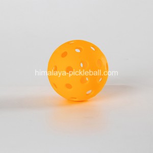 40 lỗ Pickleball